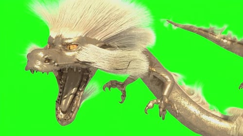 A Flying Golden Chinese Dragon with Long Gold Fur