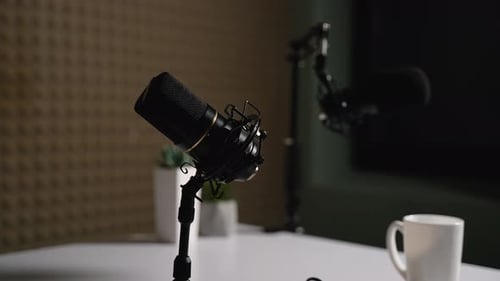 Equipment for Recording Radio Podcast Two Microphones on Desk Live Streaming Studio