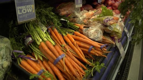 Fresh Carrots and Organic Vegetables Displayed in Local Grocery Store
