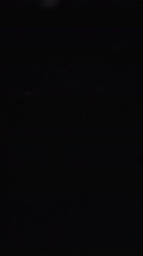 Vertical Video of Fresh Blueberries 84