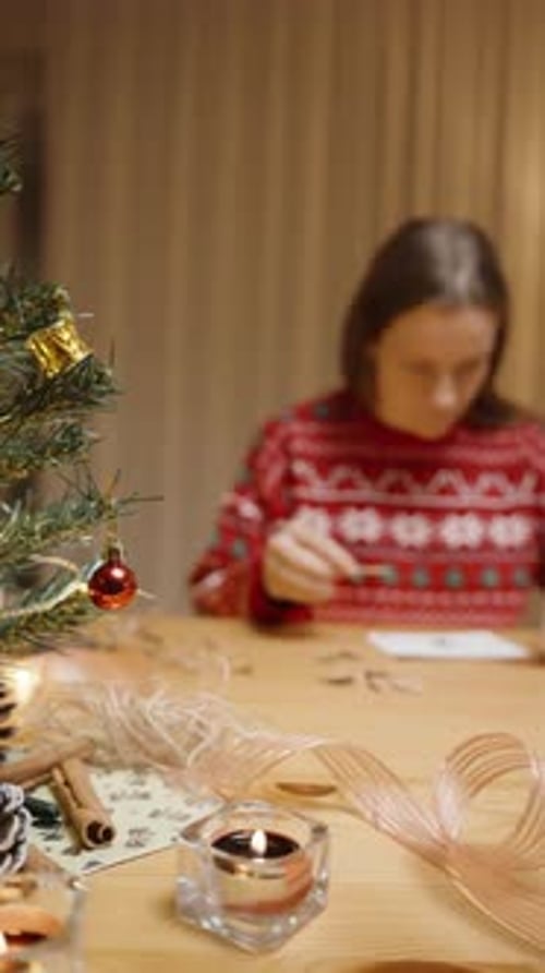 Woman Creates Winter Arts and Crafts Indoors