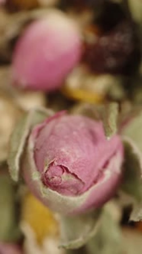 Dry tea made from various herbs and flowers. A rosebud rotates and falls down. Macro slide. Vertical