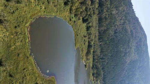 Aerial View of Lake and Green Trees in Forest Around Mountain Landscape