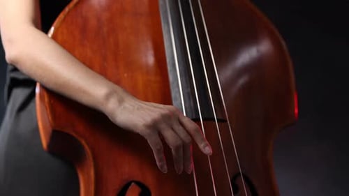 Woman Plays Strings on Upright Bass Close-up