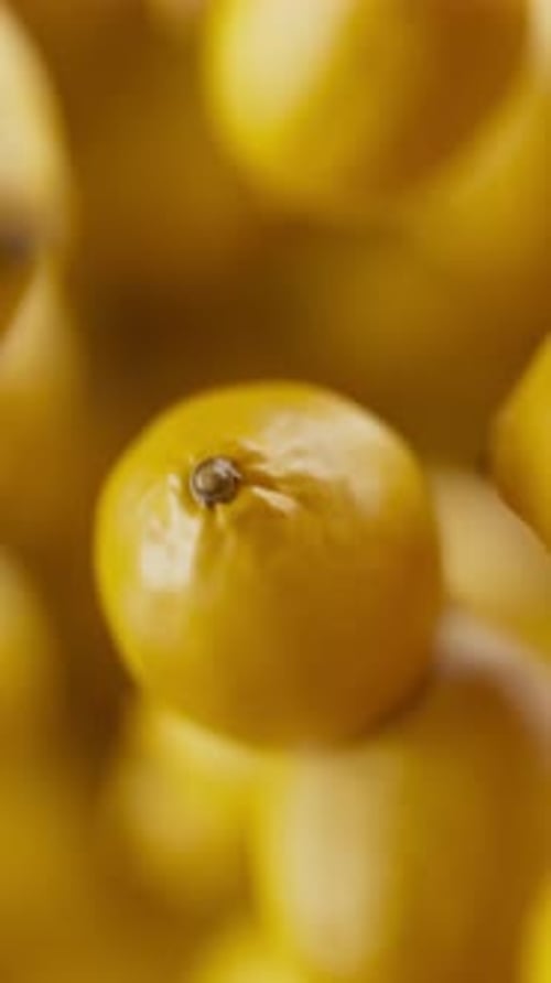 Animation of a group of lemons. Defocus. Close-up.