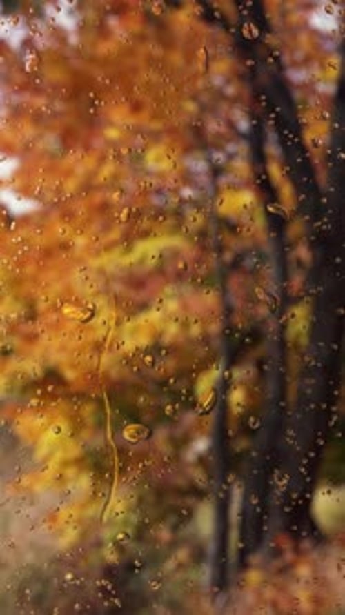 Autumn Raindrops Falling on Window Glass Background