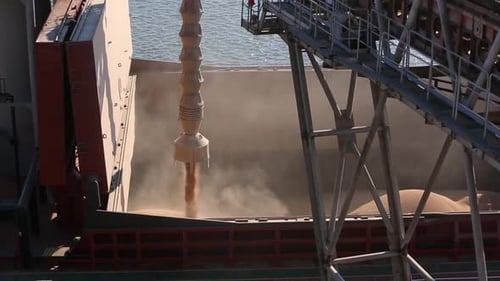 Close Panorama of Ship Loading Grain Crops on Bulk Freighter Via Trunk to Open Cargo Holds at Silo