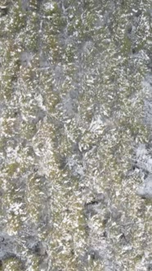 Winter Forest Peak Drone View