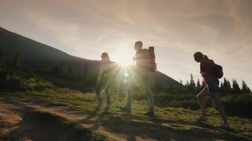 A Group of Friends with Backpacks Rises Up the Mountain In the Rays of the Setting Sun Active