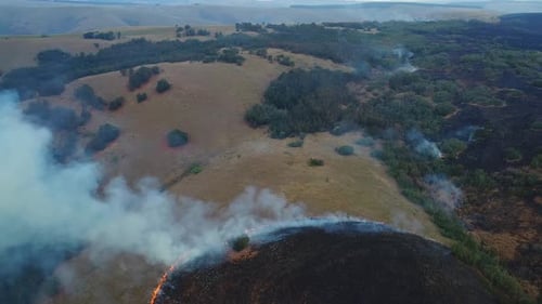 Top Aerial drone, fire and smoke, controlled burns in forest to prevent unwanted fires on a farm