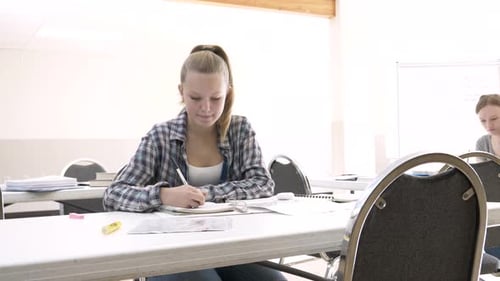 Attentive blonde high school student taking notes in classroom during lesson