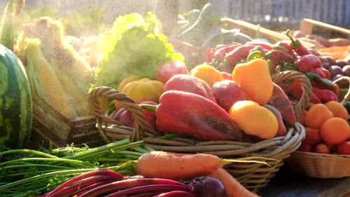 Spray Vegetables with Water Selective Focus