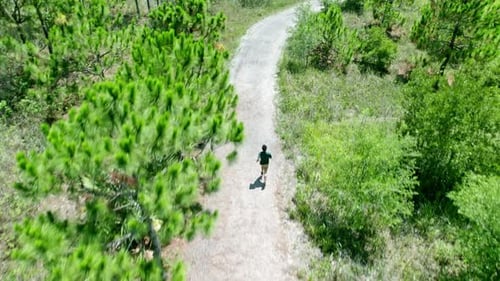 Aerial video of Caucasian man running in sunny green public park. Active runner alone in sportwear e
