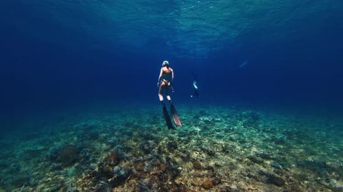 Female freediver swims in the tropical sea. Woman free diver glides underwater in a sea and descends