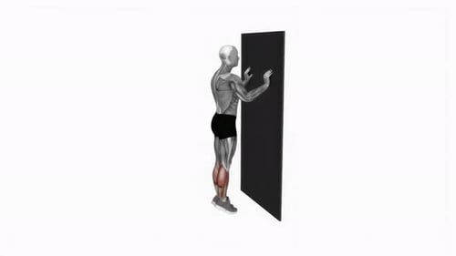 Male Calf Raise Exercise Animation with Muscle Highlight