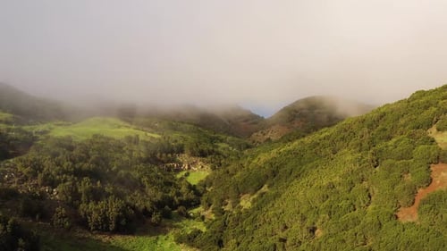 Aerial view of Tenerife island, Canary Island, Spain.