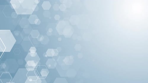 Das Hexagon Hive Business Unternehmens-