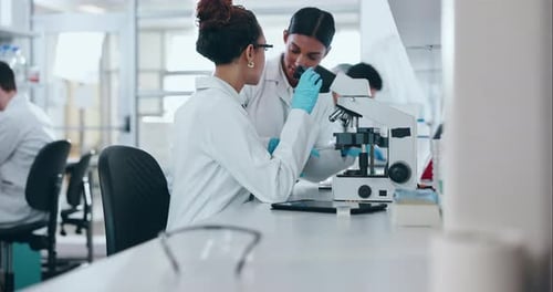 Laboratório de ciências, microscópio e equipe conversando, cooperando e estudando bactérias