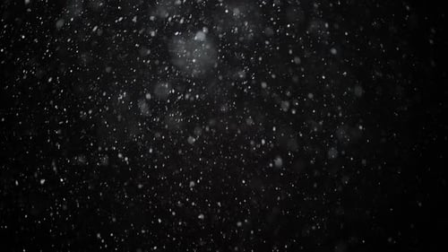 Echter Schnee, der fällt