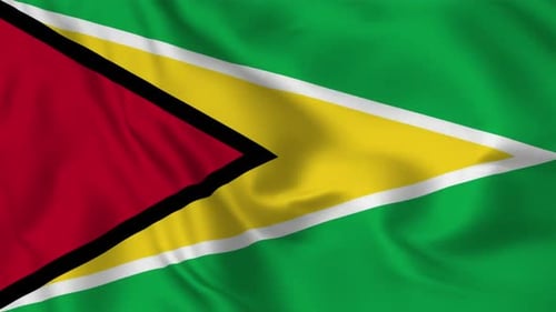 Waving Flag of Guyana Seamless Loop