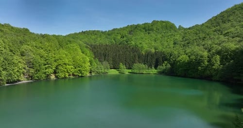 A green mountain lake in the middle of a dense forest in spring. Aerial nature shot.