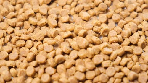 Closeup of Dry Cat Food on a Rotating Stand