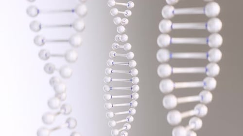 Animated 3D DNA Double Helix Strands Rotating Loop