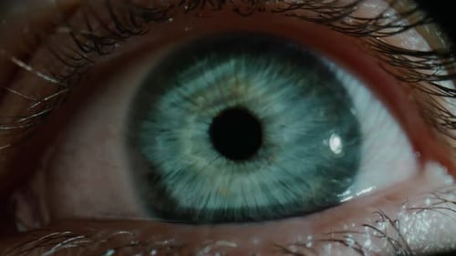 Person with green eye looks into camera at light and shade