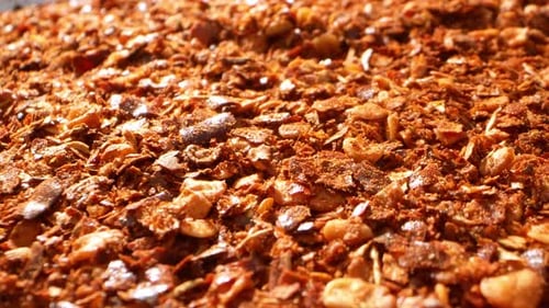 A close-up showcases a Ground chilli.