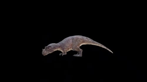 Boucle à boisson Ceratosaurus Dinosaur