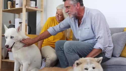 Senior Couple Petting Dogs Together at Home