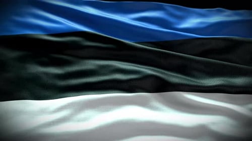 Realistic Estonian Flag Waving Seamless Loop Animation
