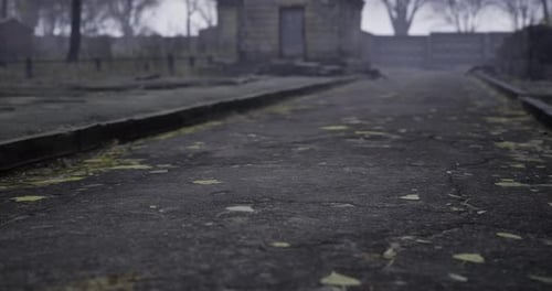 Pathway with Fallen Leaves in a Misty Abandoned Setting During Fall