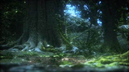 Tree Roots and Sunshine in a Green Forest