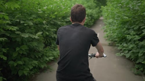 Young Cyclist Riding Scenic Paved Path Surrounded By Lush Greenery