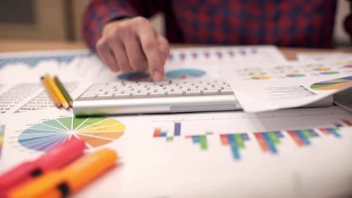 Business Person Analyzes Charts at Desk