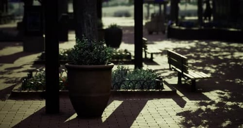 Welcoming Park Area with Flower Pots and Benches Under the Afternoon Sun