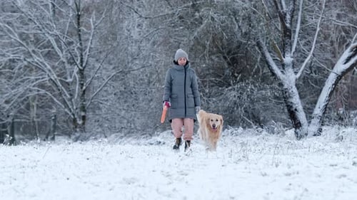 Owner Girl Walking With Her Golden Retriever Dog On A Snow Field