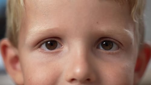 Closeup of a Cute Caucasian Boy's with Dark Eyes