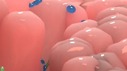 Detailed 3D rendering of human gut microbiome with bacteria