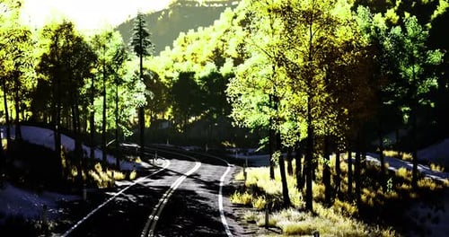 Winding Road Through Forested Landscape During Daylight