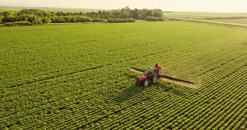 Tractor Spraying Green Field, Agriculture Aerial View