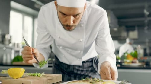 Famous Chef Decorates His Special Fish Dish with Some Greens. He Works in a Modern Kitchen.