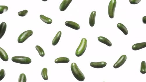 Floating Avocados on a Clean White Background