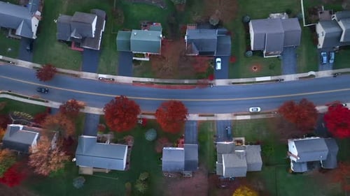 Suburb street during autumn in USA. Top down aerial shot of car driving past homes in neighborhood w