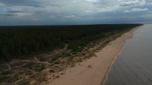 Coastal Beauty Aerial Shot Captures a Sandy Beach Beside Water Under a Cloudy Sky