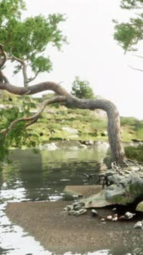 A Serene River Landscape with Lush Trees
