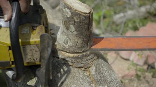 Chainsaw. Close-up of woodcutter sawing chain saw in motion, sawdust fly to sides. Concept is to bri