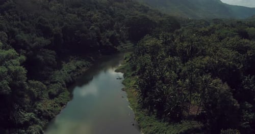 Aerial sunrise over misty river and tropical forest landscape