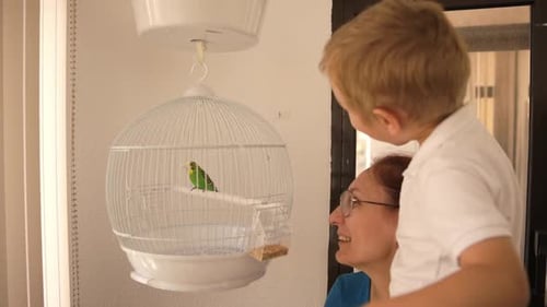 Mother and Son Looking at a Pet Bird in a
